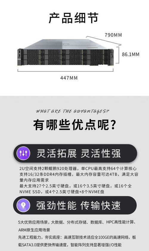 國(guó)產(chǎn)信創(chuàng)服務(wù)器新選擇 超聚變昆侖2280成都現(xiàn)貨直供，軟件外包服務(wù)同步保障
